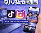 VTuber・YouTube切り抜きショートします 長尺動画を見やすいショート動画に編集します イメージ1