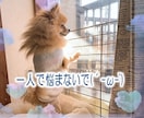 関西弁で優しくあなたに寄り添います 少しだけ話がたい、ただ聞いてほしい、何でもお話お聞きします イメージ7