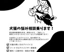 愛玩動物看護師によるペットの悩み相談をします 愛玩動物看護師8年目、どんなことでも相談に乗ります！ イメージ1