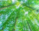 あなたに悪縁が絡みつく原因を霊視します 縁切りしたい・離れたいけど離れられない相手との関係を整えます イメージ3