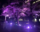 動画編集代行します 手間のかかる編集作業は安くお任せ！！ イメージ5