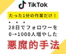 28日で1000フォロワー達成させた方法教えます TikTokで集客・副業したい人必見！初心者でも簡単 イメージ1