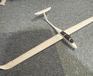 小型ラジコングライダーの3Dデータを提供します 小型のサーボ受信機を搭載できるグライダーです翼幅約500mm イメージ1