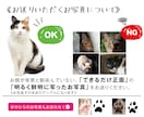 手形スタンプ付★送料無料★キャンバスでお届けします 記念価格★ 6500円→5000円 《先着5名様→残2名様》 イメージ10