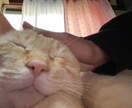 暇な方や、隠し事・話しにくい事お話し聞きます 誰にも言えない事や辛い事お話し聞かせてください！ イメージ1