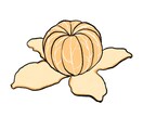 食べ物・飲み物のイラスト描きます WEBサイトや学校プリントなどに イメージ7