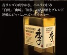 チラシの作成します お客様のイメージにあったデザインを提供します イメージ2
