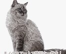 うちの子をシックな鉛筆画風のイラストにします インテリアにも馴染む、上質で大人なペットポートレート。 イメージ1