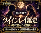 彼とのツインレイのつながりを霊視鑑定します なぜか惹かれる彼とのご縁の意味を鑑定します イメージ1