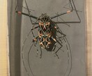 その夏の感動を、標本という宝物にします その昆虫には、物語がある。。。 イメージ4
