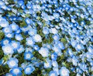 癒し系セラピストが優しくお迎えします お試しOK♪はんなり関西弁で、親身に寄り添います イメージ5