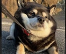 あなたのペースでお話し聞きます ただの一般人です！なんでもお気軽にどうぞ！ イメージ1