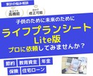 エクセルLite版★ライフプランシート作成します 簡単入力でシュミレーションできる家計のお助けアイテム イメージ1