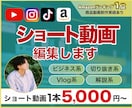 SNS向けショート動画を編集します TikTok／YouTube ／Instagram対応 イメージ1