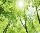 紹介されないと行けないお店を紹介します 誰かからの紹介でないと行けない特別なお店にご招待します！ イメージ1