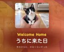 クーポン配布中 ペットの思い出動画作ります 9/30までお気に入りで30%オフ 作風を2つから選べる イメージ2