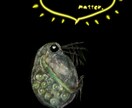 絵本作家がiPadで絵本風キャラを描きます 絵本風キャラや動植物|グッズ化やプレゼントにも|お急ぎ可 イメージ8