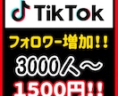 TikTokのフォロワーを3000人増やします 些細な疑問でもお答えしますのでご気軽に相談ください！ イメージ3