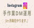 InstagramのDMを手作業で運用します 手作業で『DM』を効果的なターゲットに確実に実施します！ イメージ1