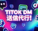 TIKTOKのDM運用代行致します ターゲットを絞って効果的なSNS運用！ イメージ4