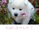 あなたに寄り添います 日常の些細な事、誰かとちょっと話をしたい方、お話しませんか？ イメージ1