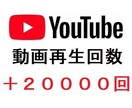 YouTubeの再生回数を増加させます YouTubeの収益化を目指す/動画再生回数の増加 イメージ2