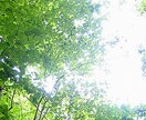 あなたの心の声を聞きます 壁にぶつかった時心音であなたの心の声を聞かせて下さい。 イメージ3