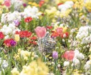 自分を変えたい人のためのカウンセリングを行います 心療内科医が心を込めてお返事させていただきます イメージ1