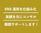 1日数分でSNS運用出来る方法をコンサルます Twitter、Instagramを仕組み化しましょう！ イメージ1
