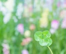 60分チャット悩み・愚痴・相談✨優しく寄り添います 秘密厳守！大丈夫ですか？お話聞きます。一緒に考えましょう☘️ イメージ2