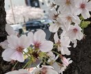 あなたなの身体の心配事についてご相談いただけます 悩める貴方の話しを聞きます。ちょびっとでもおっけー イメージ3