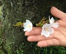 心のモヤモヤ言葉にしてスッキリしませんか、聞きます 負の思考ぐるぐるやめたい頭の中、軽くなるお手伝いします。 イメージ6