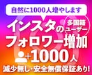 Instagramリアルフォロワー増やします 低価格/高品質！インスタフォロワー+1000~10万人増加 イメージ1