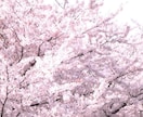 GW企画！あなたの幸せを引き寄せます 八百万の神と繋がったシャーマンが幸せを呼びます〜守護神鑑定付 イメージ1