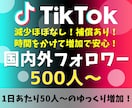 TikTokフォロワー 500人～増加させます 減少なし！超自然増加！保証あり！業界最高品質！ イメージ1