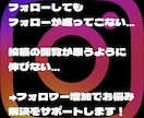 Instagramのフォロワー増やします 200名〜対応 即日対応　補充あり イメージ3
