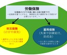 会社設立し人を雇用した時の労働保険の手続き行います 社労士が迅速・相談のしやすさを大事にしています イメージ1