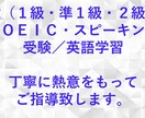 英会話実践練習でお教えします ３０分×８回セット・英語のご質問いくつでもお受けします イメージ1