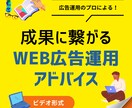 WEB広告運用をビデオで直接アドバイスします 運用改善の具体策を画面共有で提案します イメージ1