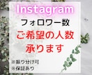 Instagramのフォロワー数を増やします 【期間限定価格】1,000人～・12時間以内に増加開始 イメージ1