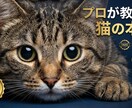 新規10名様まで格安で受付いたします マーケティング法則に沿った画像生成 イメージ9