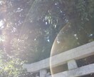 リピーター様限定☆約1ヵ月ヒーリング&トークします まったりーのーんびり♡あなたを芯から癒しあたためます♡ イメージ3