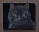 猫顔を油絵で写実的に描きます 愛猫があなたをずっと見つめてくれます。 イメージ2