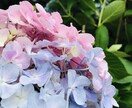 元セラピストが生活の中の愚痴や相談事を聴き致します 家庭や会社、友人関係や子育て恋愛などで話を聴いて欲しい方 イメージ2