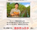 あなたのプロフィールを購入につながる形に輝かせます 売れる文章、作ります。ココナラで試してきたからこそ伝わる形に イメージ6