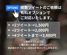 特定ツイートをリツイートした人一覧のリスト作ります 最短当日納品｜ご自身以外のアカウントのツイートにも対応可能 イメージ9