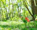 関西弁で頑張るママの愚痴や悩み、相談事をききます 頑張るママを応援隊　あなたの頑張りを誰よりも認めます イメージ7