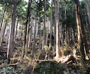 生まれた時の愛を思い出すヒーリングを流します バースデーヒーリング   愛しかなかったあなたに出会う イメージ3