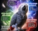 あなたの愛鳥オーラを画像にします 鳥のオーラにも、飼い主様へのメッセージが隠されています イメージ3