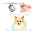 シンプル 鉛筆 線画｜写真から似顔絵描きます 手描きの優しい線画。お好きな色を２色まで。 イメージ10